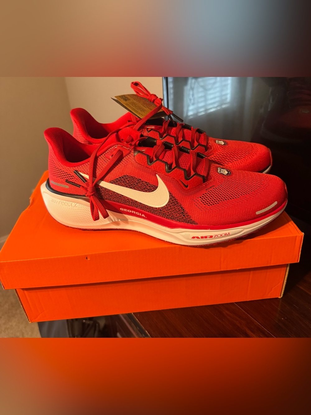 Nike Mens Pegasus 41 Georgia